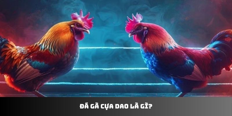 Đá gà cựa dao là gì?