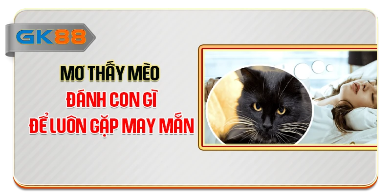 Mơ thấy mèo đánh con gì để luôn gặp may mắn