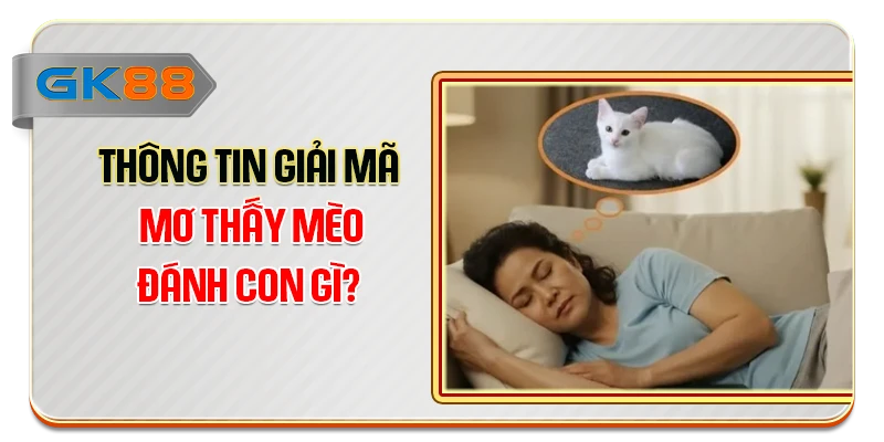 Thông tin giải mã mơ thấy mèo đánh con gì?