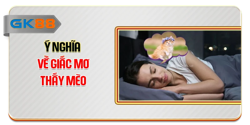 Ý nghĩa về giấc mơ thấy mèo