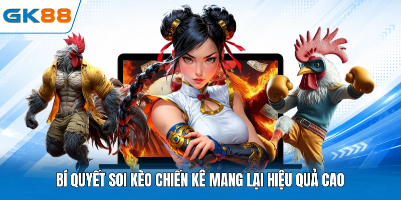 Bí quyết soi kèo chiến kê mang lại hiệu quả cao