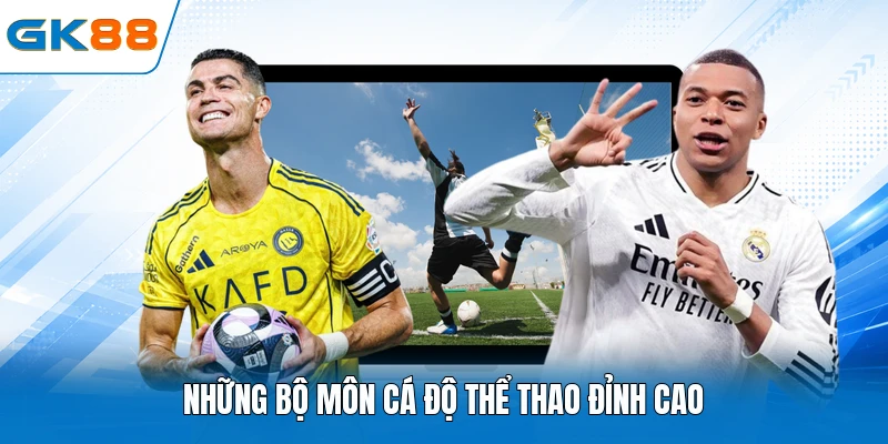 Những bộ môn cá độ thể thao đỉnh cao