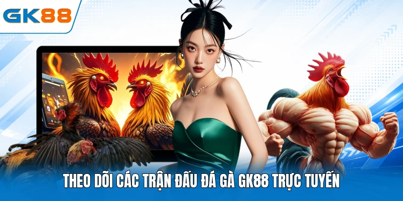 Theo dõi các trận đấu đá gà GK88 trực tuyến